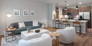 Windsor South Congress Gallery 1