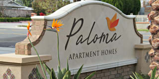 Paloma Gallery 20
