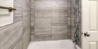 1810 Lake Point Dr Gallery 14