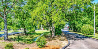 Addison Park Gallery 19