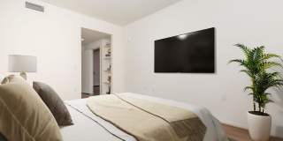 Vineyards Gallery 168