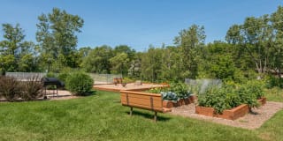 Valley Village Apartments Gallery 14