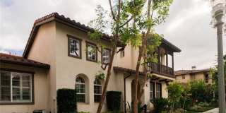 41 Bamboo Gallery 1