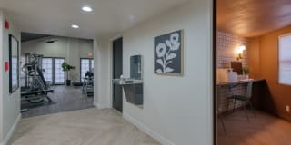 Treehouse Apartments Gallery 29