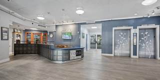 York North Gallery 15