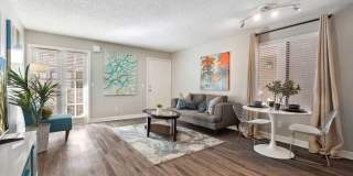 Vista Sureno Gallery 21