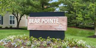 Bear Pointe Gallery 1