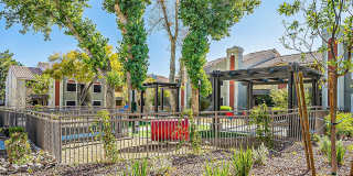 Bella Solara Gallery 37