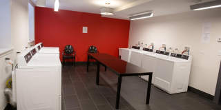 Paramour Gallery 8