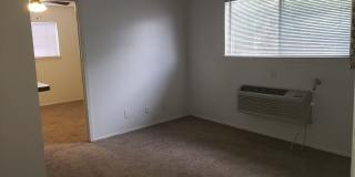 Forest Ridge Gallery 29