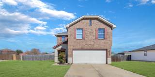 509 Perseus Gallery 1