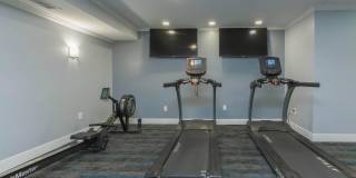 Whitestone at Landmark Gallery 24