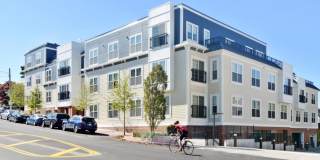 The Bradford Gallery 29