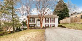 1193 BAYVIEW Vista Gallery 1