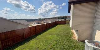 161 Lyle Curtis Gallery 26
