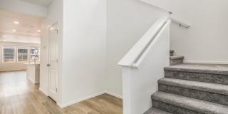 No Application Fees for the Month of June! Gallery 4