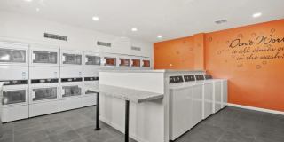 Zona Rio Gallery 7