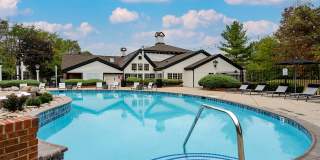 Steeplechase Gallery 43