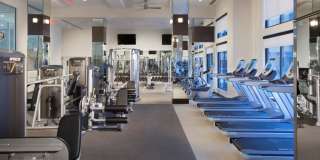 Harrison at Reston Town Center Gallery 22