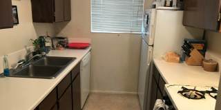 1B/1B Pet Friendly Apartment South of BYU Gallery 6