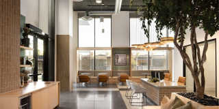 Ragsdale Gallery 5