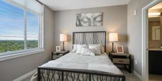 Ellis Bethesda Gallery 10