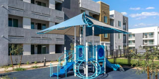 Acero at the Stadium Gallery 28