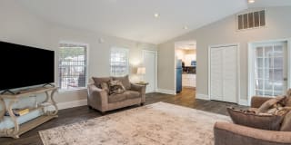 Carolina Pines Gallery 9