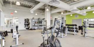 The Oxford Gallery 31