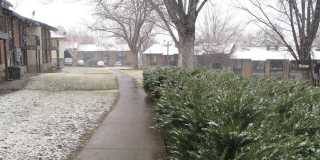 Orchard Gardens  (OG) Gallery 1