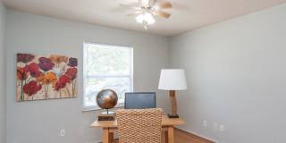 3017 Everbloom Way Gallery 11