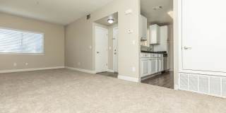 Avery at TownCentre Gallery 81