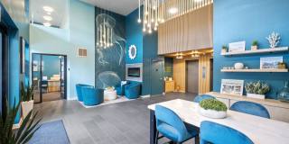 Oceana Gallery 25