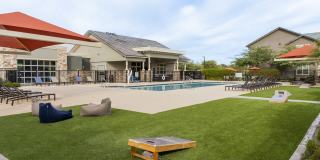 Ironwood at Happy Valley Gallery 14