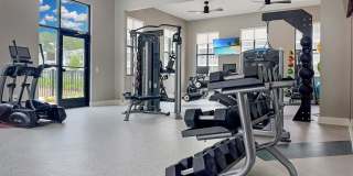 Waterleaf at Salt Creek Gallery 19