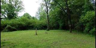 4905 Gum Springs Road Gallery 4