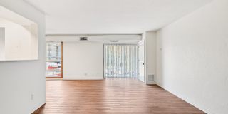 Wayzata Woods Gallery 6