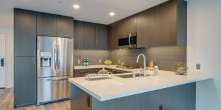 The Merian Gallery 53