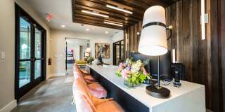 Muse at SoCo Gallery 37