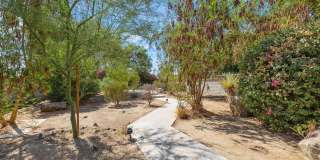 72056 Palm Haven Drive Gallery 63