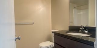 Northgate Gallery 291