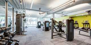 Capri on Camelback Gallery 7