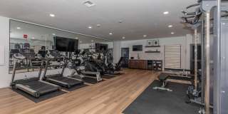 Terrica Urban Living Gallery 38