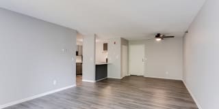 White Pines Gallery 19