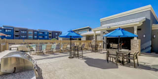 Springs at Eastmark Gallery 20