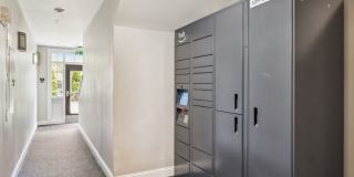 Sofi at Salem Station Gallery 59