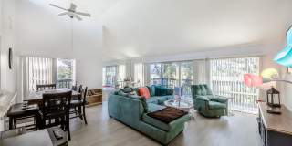 722 WHITE PINE TREE ROAD Gallery 3