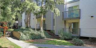 Northline Gallery 22