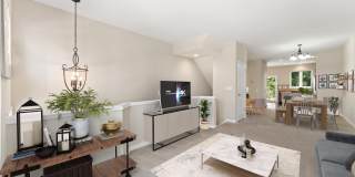 42673 NEW DAWN Terrace Gallery 9