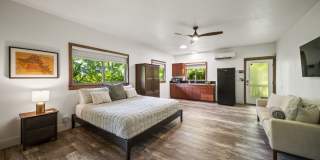 Tropical 4BR Gated Retreat w/ Sauna, Walk to Velzyland Beach Gallery 34